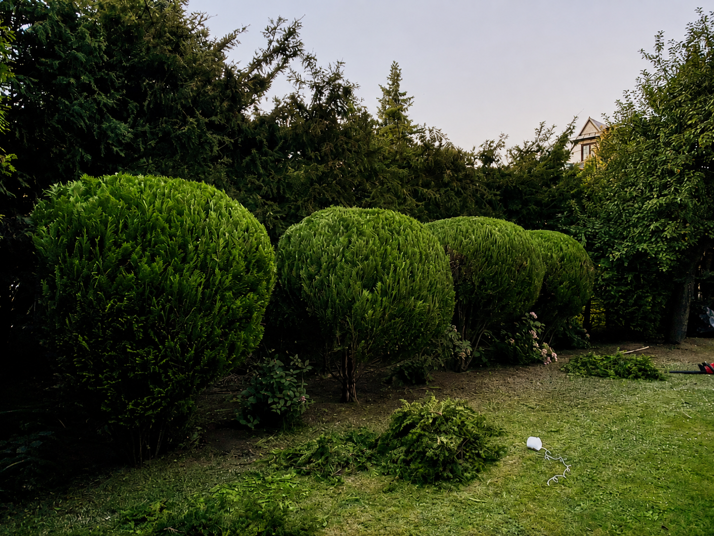 Realizacja Solar Garden 2