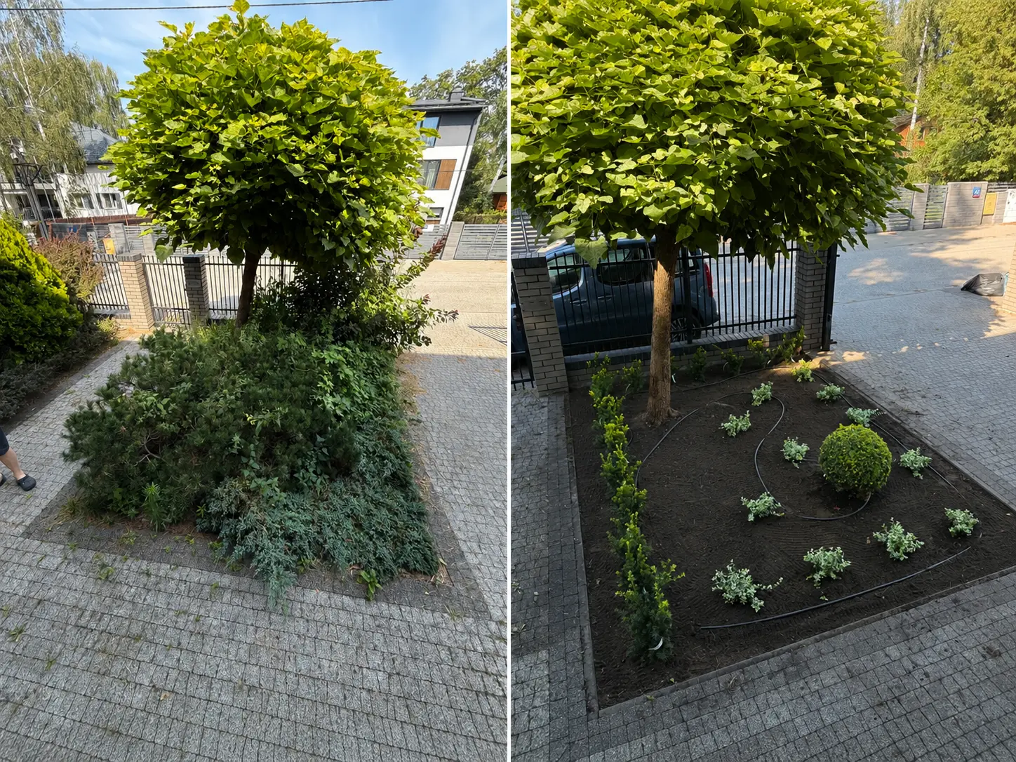 Metamorfoza ogrodu, Ursynów